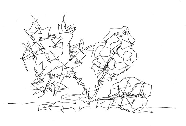 Three leaves, a line drawing by Peony and Parakeet