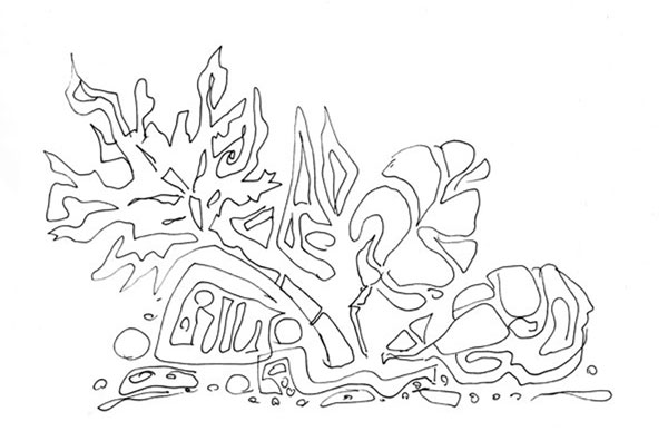 Three leaves, a line drawing by Peony and Parakeet