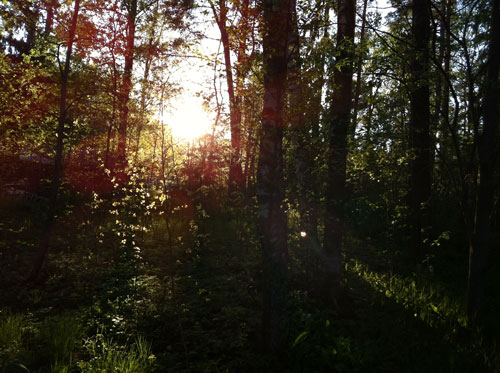 Sunset in Finland, a photo by Peony and Parakeet