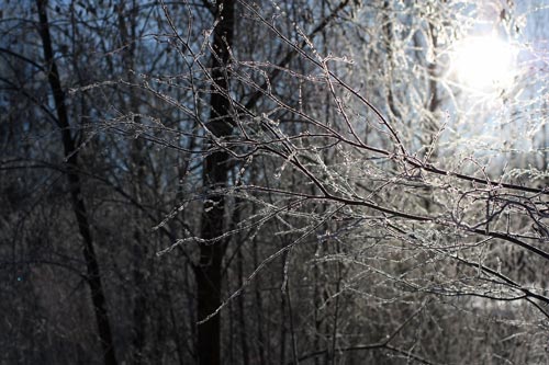 Mornings in March in Finland, a photo by Peony and Parakeet