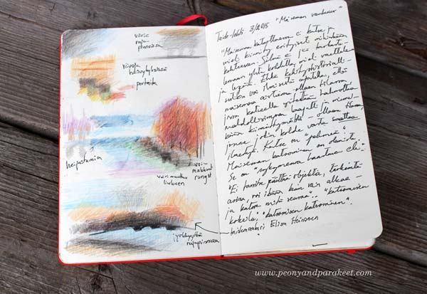 A sketchbook page spread by Peony and Parakeet