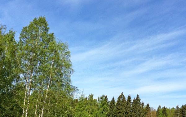 Finnish sky