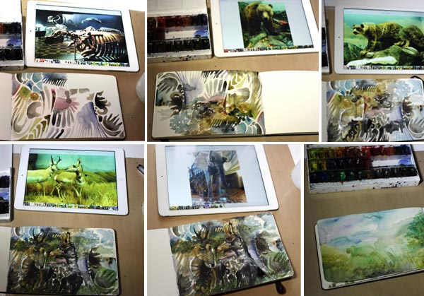 Painting a sketchbook spread from photos taken from Natural History Museum of Helsinki
