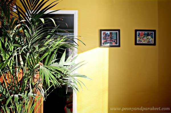 Yellow wall inspired by Tricia Guild's home decor book Design and Detail