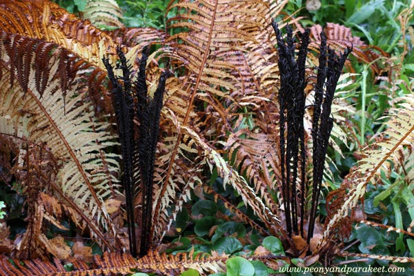 Fern like an art deco pattern