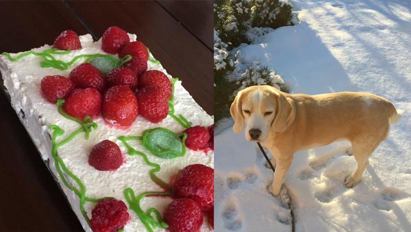 Birthday cake with strawberries and February in Finland