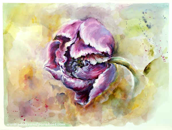 Watercolor painting of a tulip by Paivi Eerola from Peony and Parakeet. See her 6 tips for expressive floral art!
