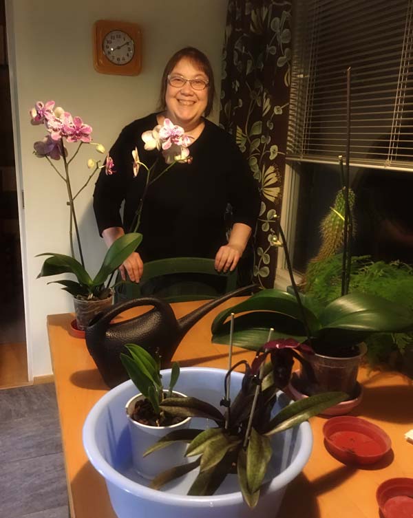 Finnish artist Paivi Eerola watering her orchids