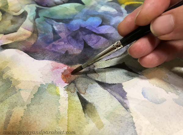 Painting a detail with watercolors. Focusing on a small spot to get deeper into the painting process. By Paivi Eerola of Peony and Parakeet.