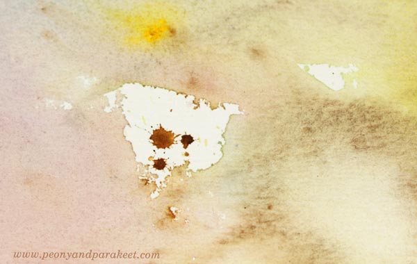 Discovering blank spots in watercolor painting. By Paivi Eerola of Peony and Parakeet.