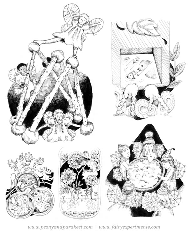 Illustrations for the book Fairy Experiments for Thinkers and Tinkerers, author C.L. Hunt, illustrator Paivi Eerola.