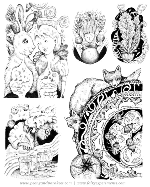 Illustrations for the book Fairy Experiments for Thinkers and Tinkerers, author C.L. Hunt, illustrator Paivi Eerola.