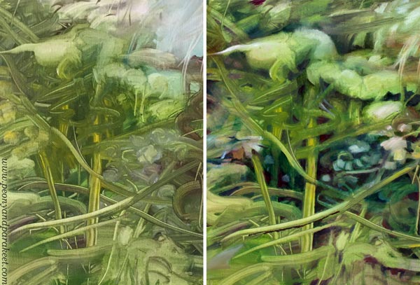 A detail in the first layers and after finishing. Read more tips about bringing more life into your art.