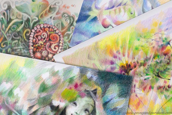 Colored pencil art in happy colors by Paivi Eerola of Peony and Parakeet.