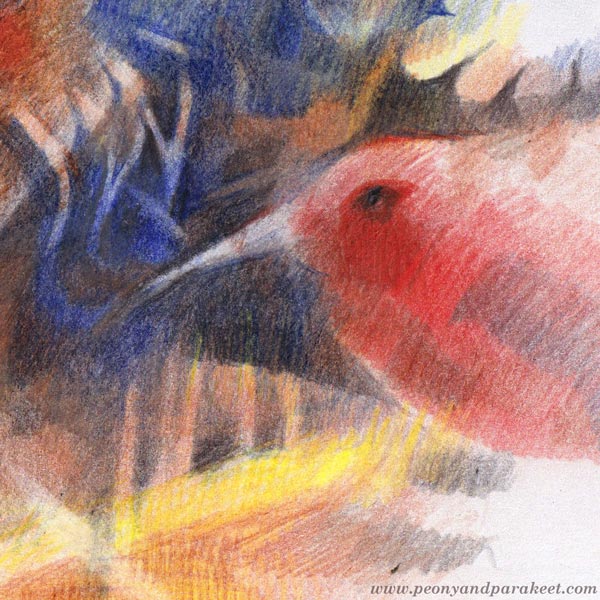 A detail of a colored pencil drawing by Paivi Eerola of Peony and Parakeet.