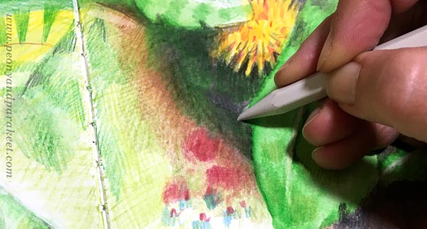 Starting a Colored Pencil Journal - Peony and Parakeet