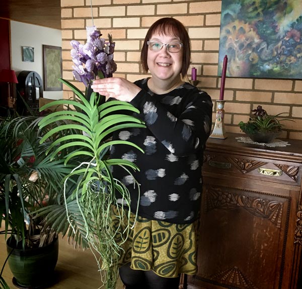 Vanda orchid.