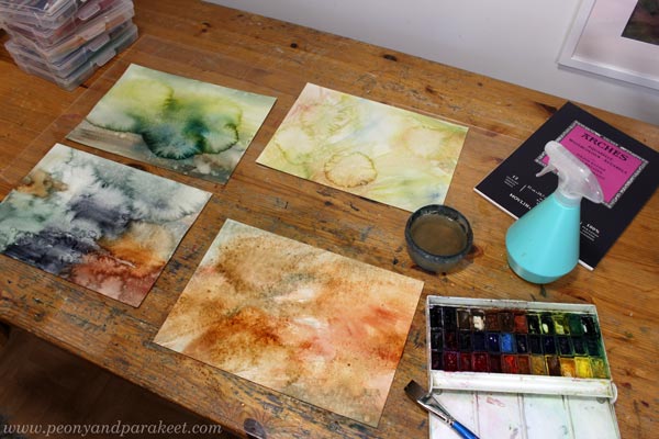 Painting watercolor backgrounds for wild botanical art.