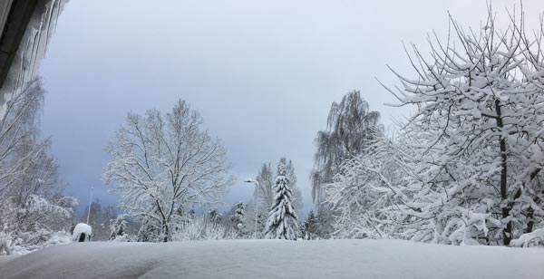 Winter scenery from Finland.