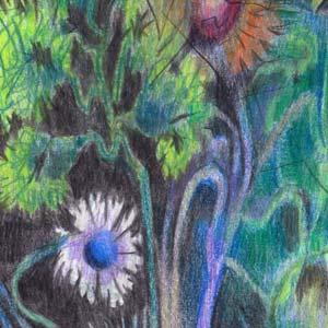 Hidden Meadow