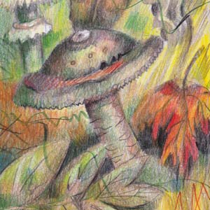 Mushroom Forest