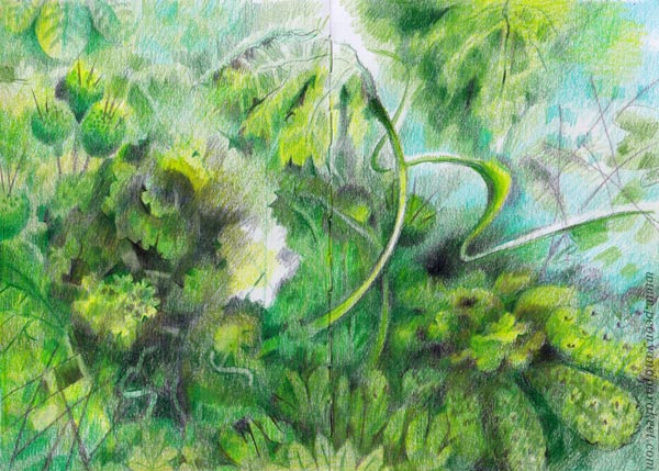 Green flowers in colored pencils by Paivi Eerola of Peony and Parakeet.