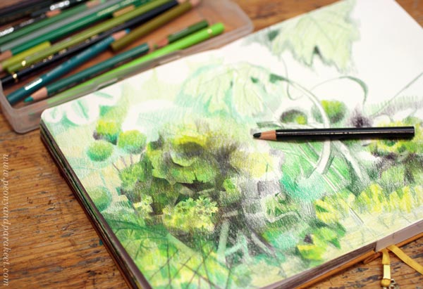 Colored pencil art in progress