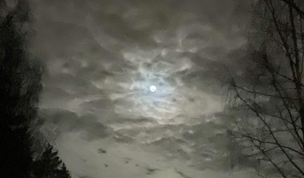 Moonlight photo