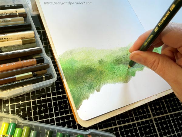 Drawing moss in colored pencils.