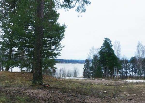 The surroundings of Villa Albert and Albert Edelfelt's art studio in January 2023