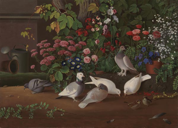 Flowers and Birds in the Corner of the Garden by Ferdinand von Wright, 1853 - 1854.