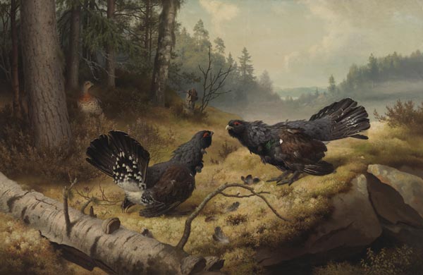 Fighting Capercaillies by Ferdinand von Wright, oil on canvas, 1886.