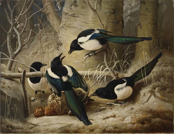 Magpies Around the Dead Female Capercaillie by Ferdinand von Wright,1867.