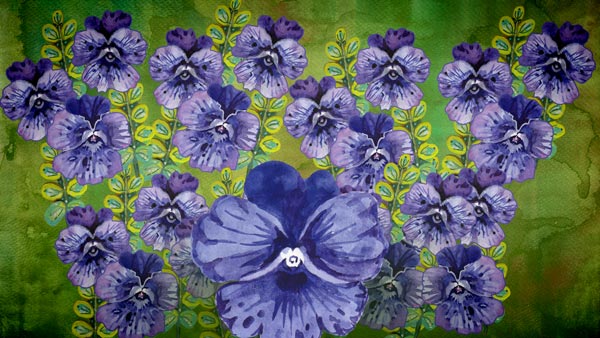 Pansies, pansies, pansies. An illustration for a beautiful blog post by Paivi Eerola.