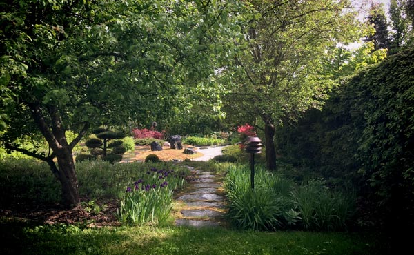 Garden in the morning in Finland.