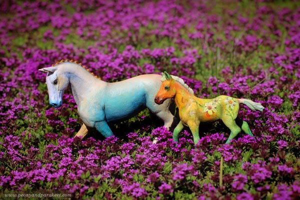 Two customized Schleich horses in a flower field.
