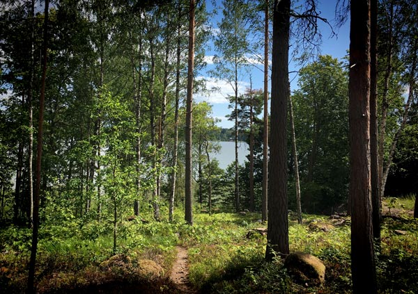 Haikko, Porvoo, Finland. The forest path to Villa Albert.