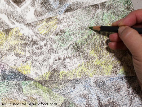 Coloring freely. Using watercolor pencils for layering.