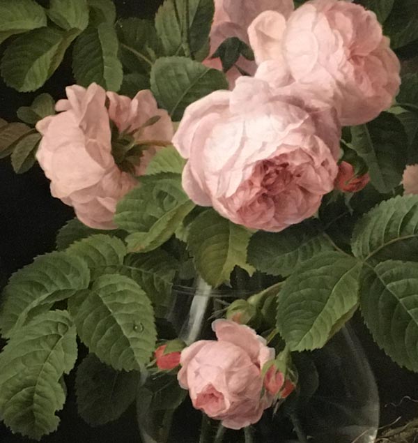 A Detail of Bouquet of Roses by Jans Frans van Dael, oil on canvas, c. 1825