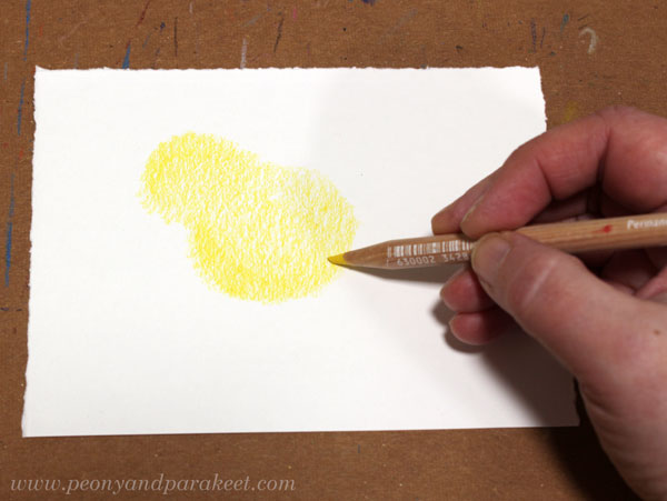 Starting a colored pencil drawing.