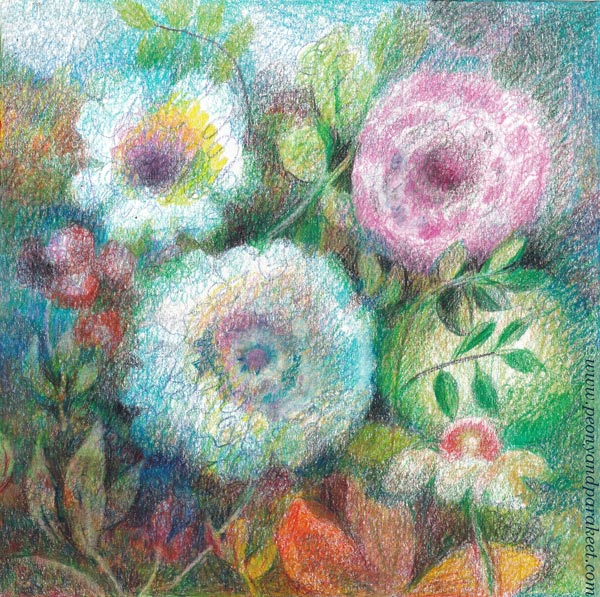 Soft flowers with colored pencils by using circulism. By Paivi Eerola of Peony and Parakeet.