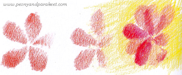 Vanishing flower, creating semi-abstract art with colored pencils