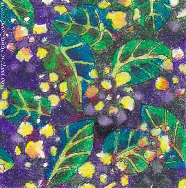Draw patterned papers. first choose a small piece of paper!