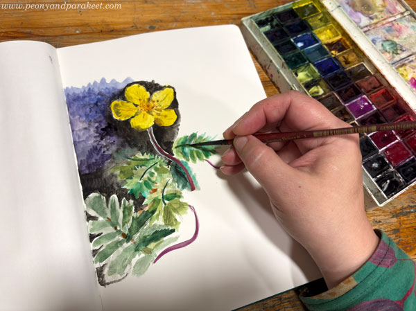 Starting a new sketchbook pages with watercolors.