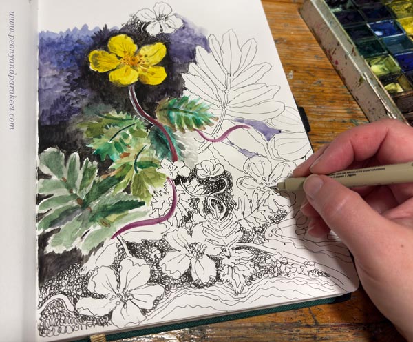 Drawing on a sketchbook. Combining watercolors and fineliners.