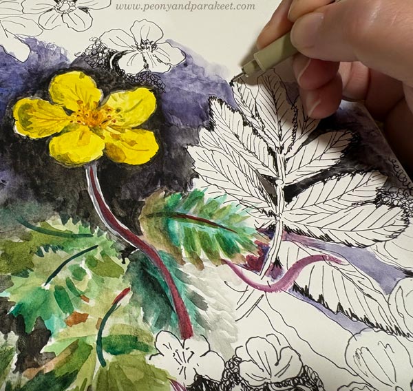 Drawing leaves with fineliners.