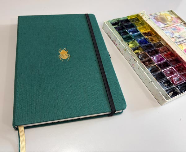 Dingbats Pro Green Beetle Notebook and watercolors