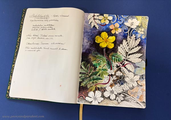 A botanical drawing in progress.