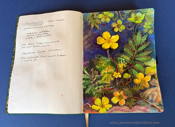 Botanical drawing in the Dingbats Pro Green Beetle Notebook. By the artist Paivi Eerola, Finland