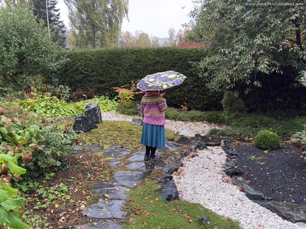 A mystical view to the rainy garden. Mystical thoughts.